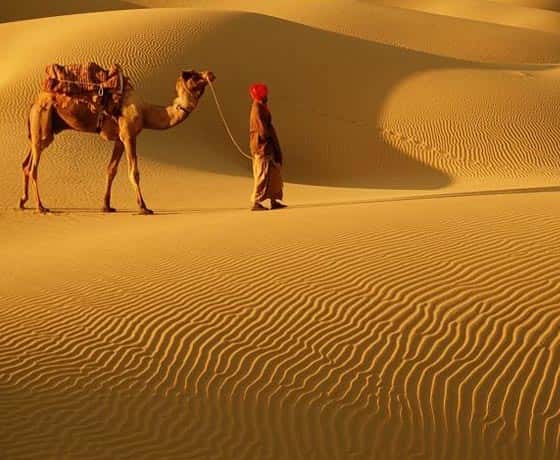 Desert Tours