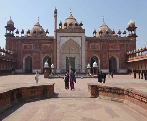 Jaipur Ranthambhore Agra Tours