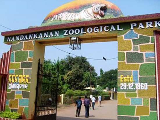 nandankanan zoo
